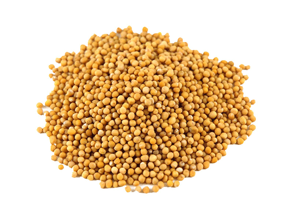 Mustard seeds