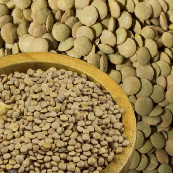 Lentils extra